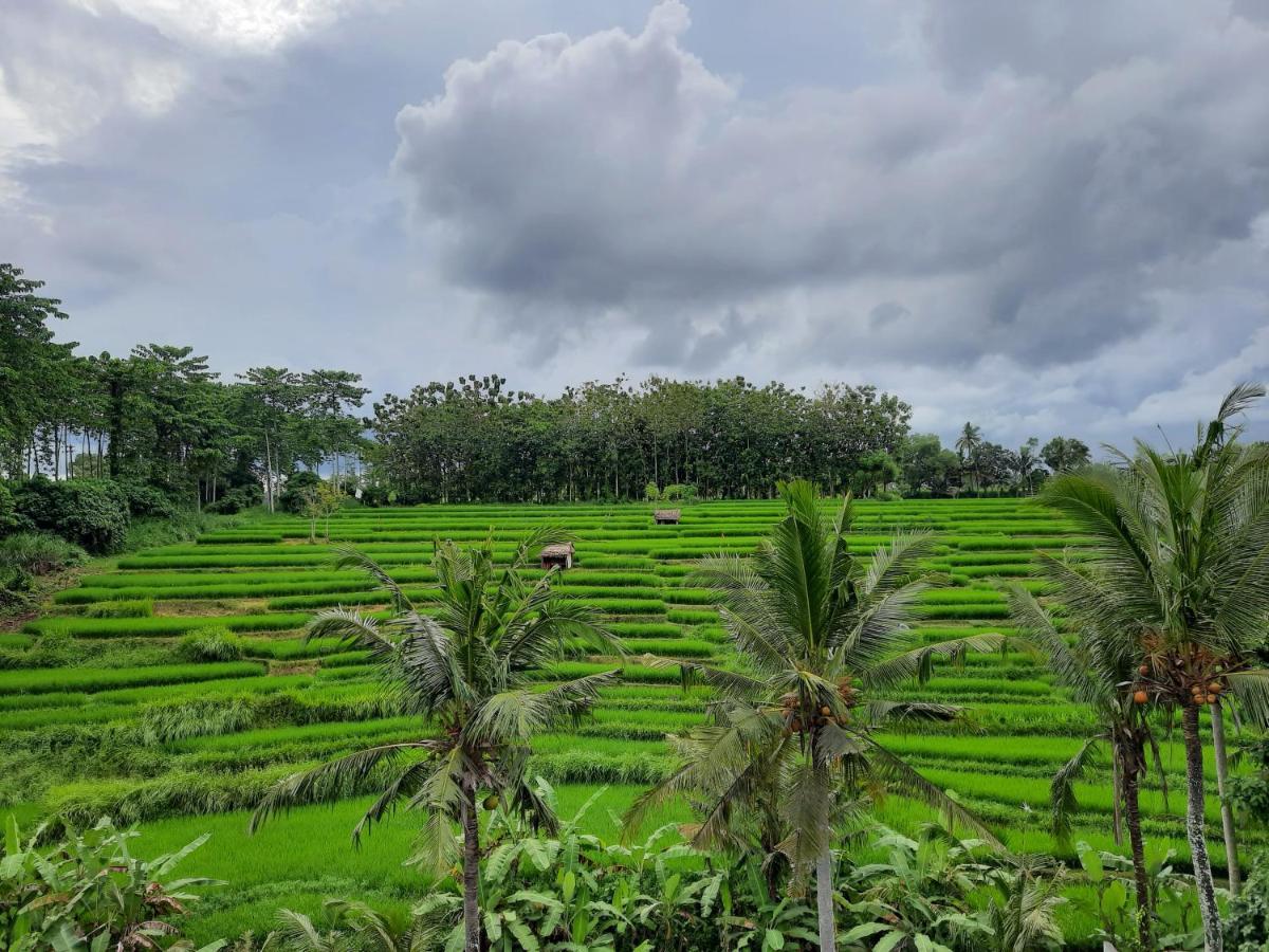 Serenity Private Villa Mas Ubud Exterior photo