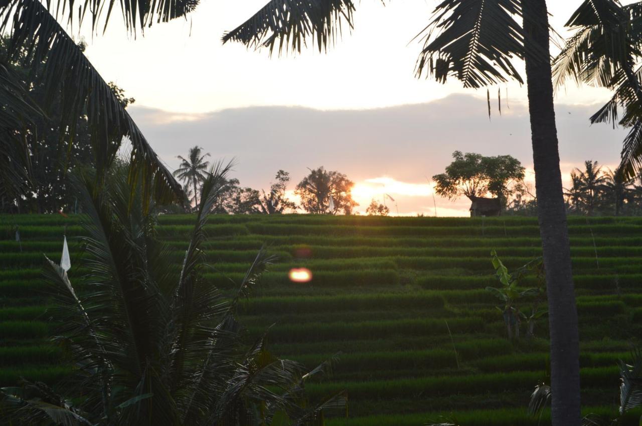 Serenity Private Villa Mas Ubud Exterior photo