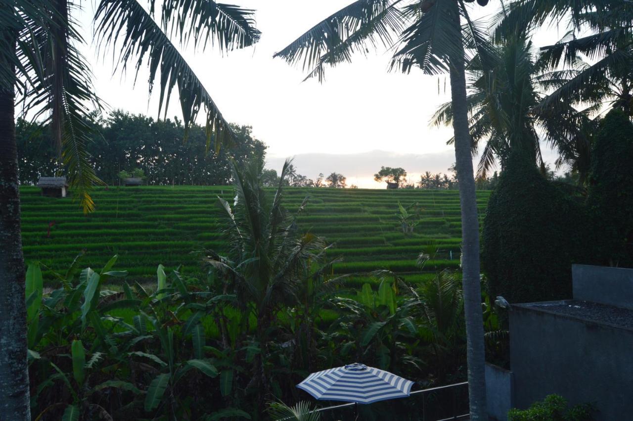 Serenity Private Villa Mas Ubud Exterior photo