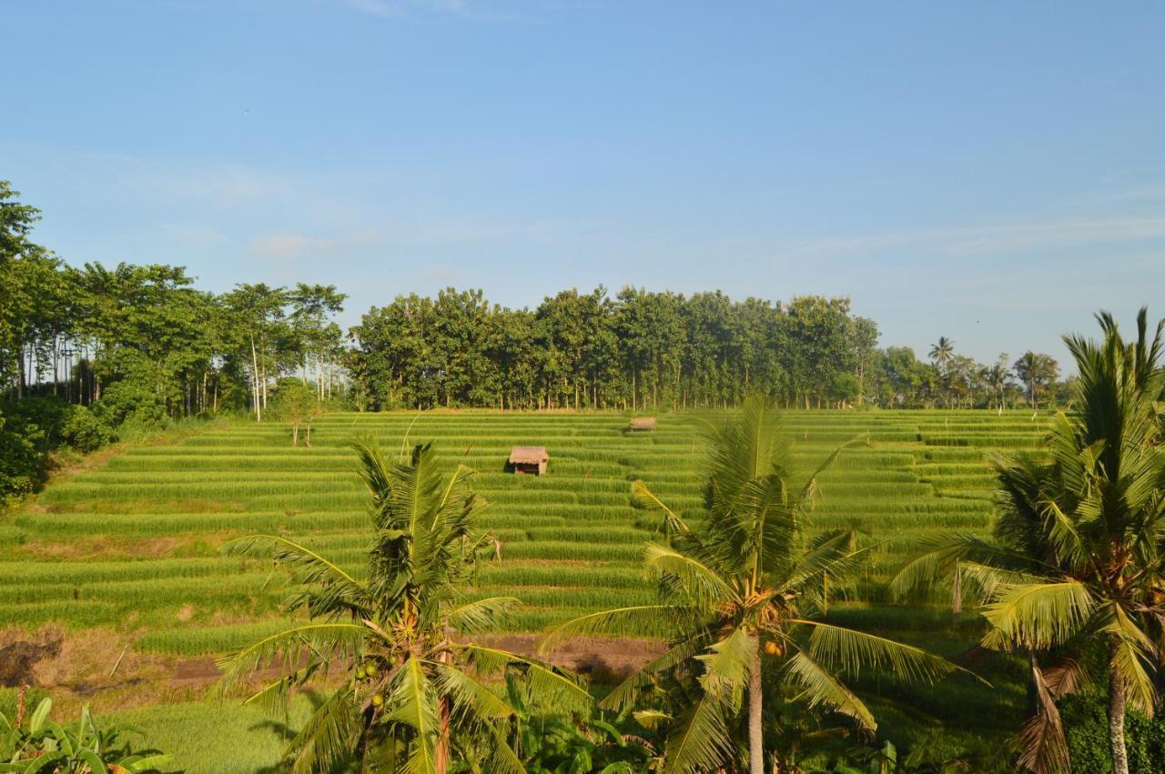Serenity Private Villa Mas Ubud Exterior photo
