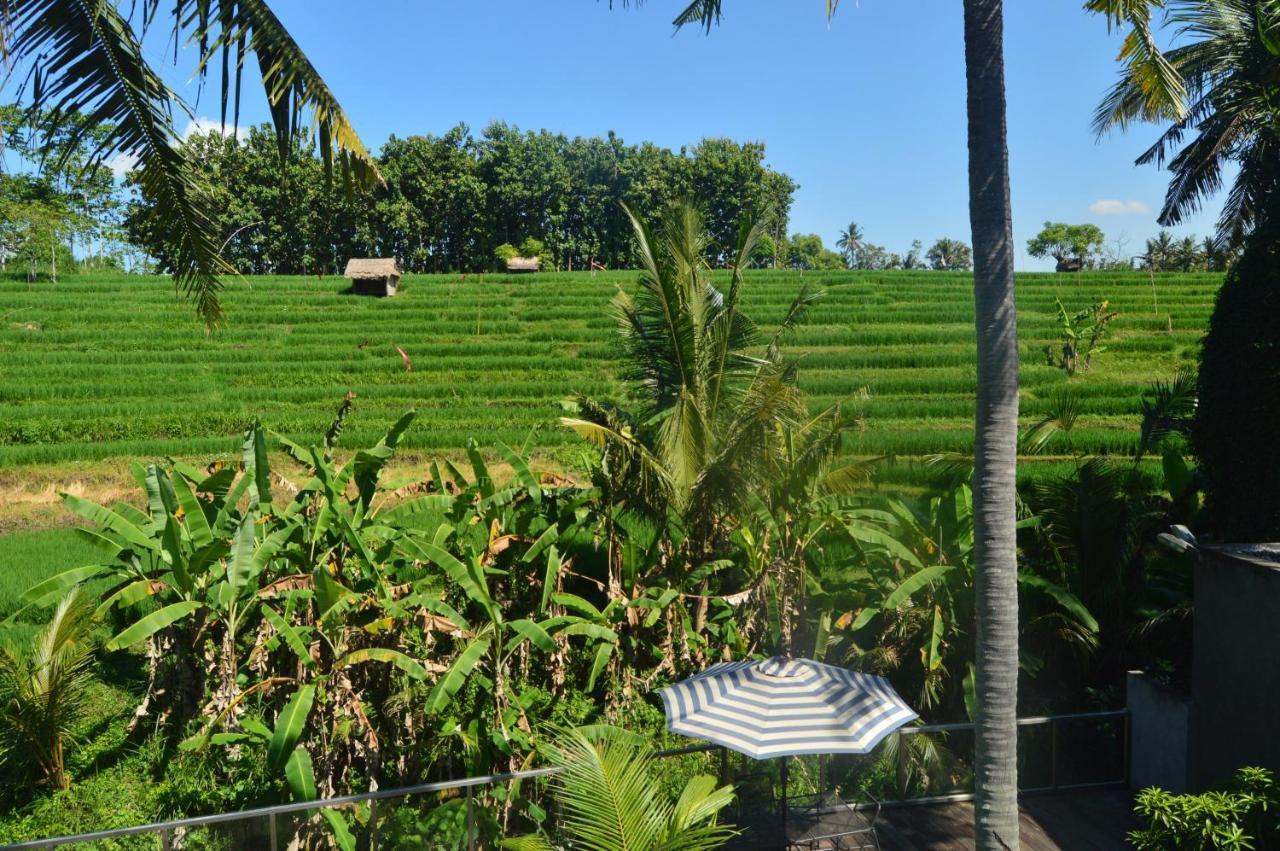 Serenity Private Villa Mas Ubud Exterior photo